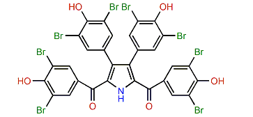 Polycitone B